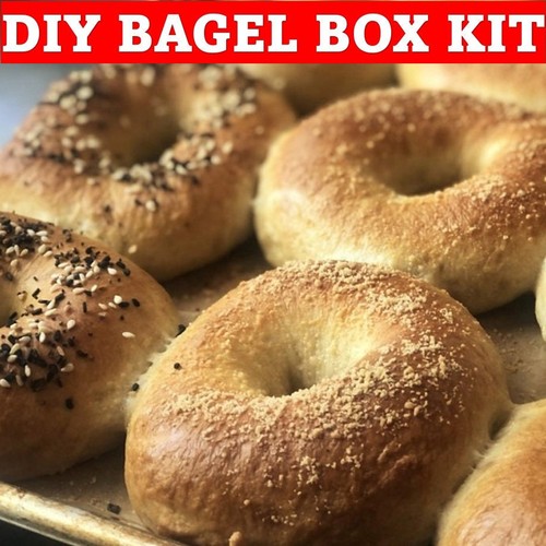 Everything - DIY Bagel Box Kit for