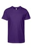 Team Purple