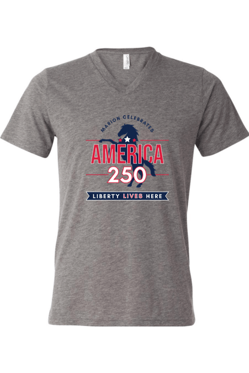 Bella + Canvas Triblend Short Sleeve V-Neck T for