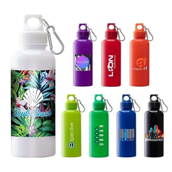 Brio 20 oz. PS Water Bottle w/ Carabiner for