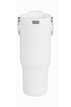 Carnival Recycled Sip Swig Tumbler 30oz