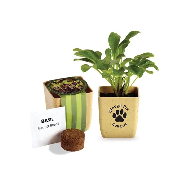 Prime Line Flower Pot Set With Basil Seeds for