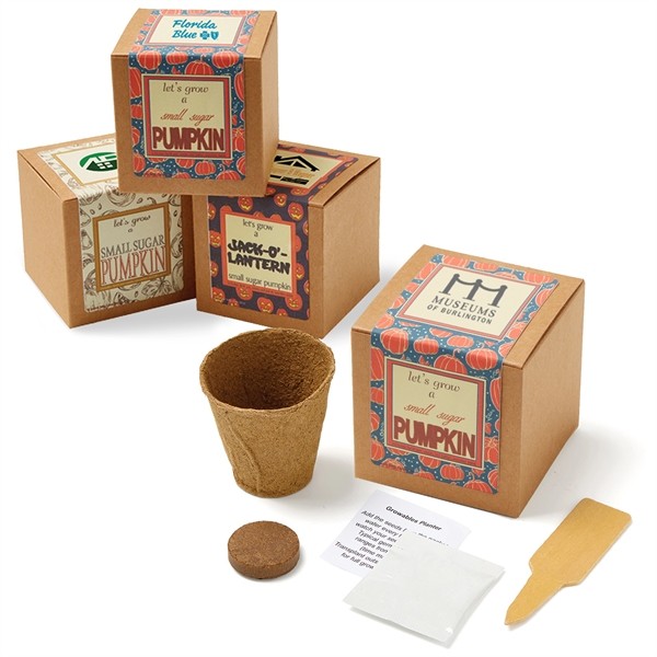 Small Sugar Pumpkin Seed Growable Planter in Kraft Gift Box for