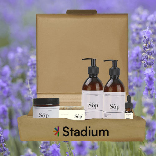 The Healing Touch of Lavender for