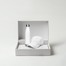 White Bottle / White Cap