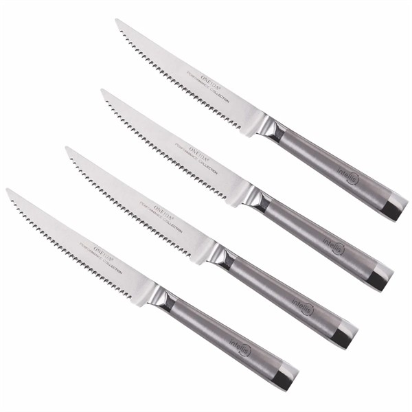 Oneida® 4 Piece Stainless Steel Steak Knife Set for