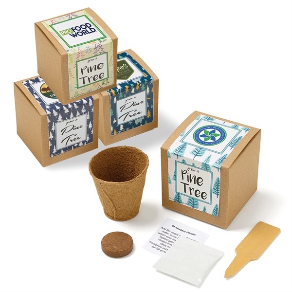 Pine Tree Seed Growables Planter in Kraft Gift Box for